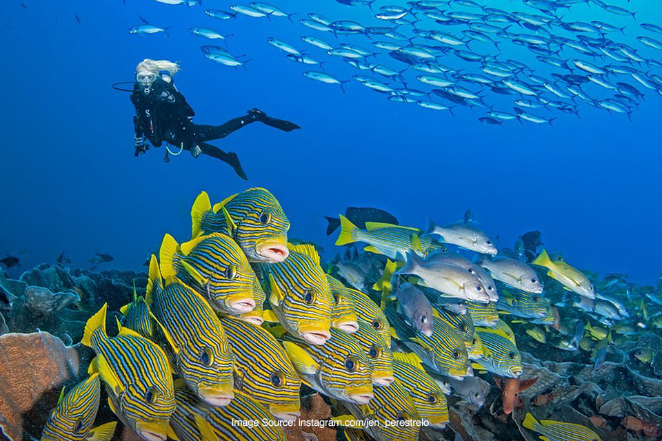 Menikmati Keindahan Bawah Laut Di Desa Wisata Sauwandarek Raja Ampat