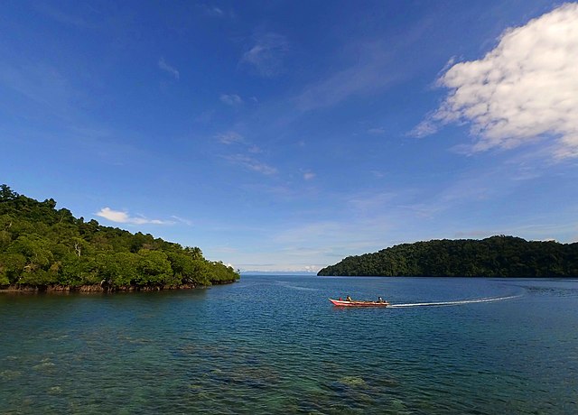 Selain Raja Ampat Ini Spot Diving Di Papua Yang Nggak Kalah Keren