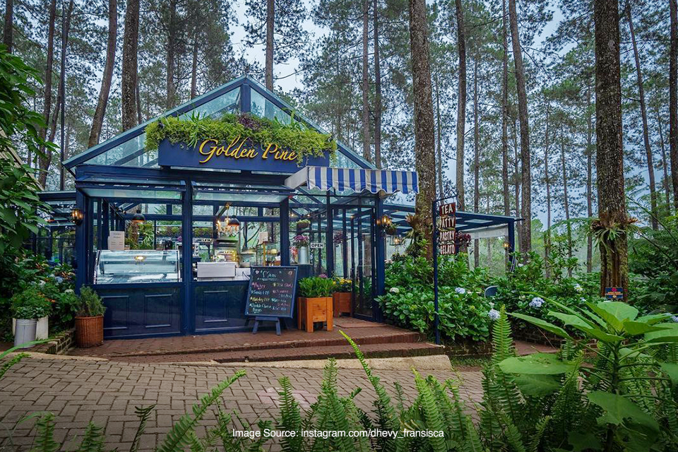 Golden Pine Tempat Ngeteh Cantik Di Tengah Orchid Forest Lembang