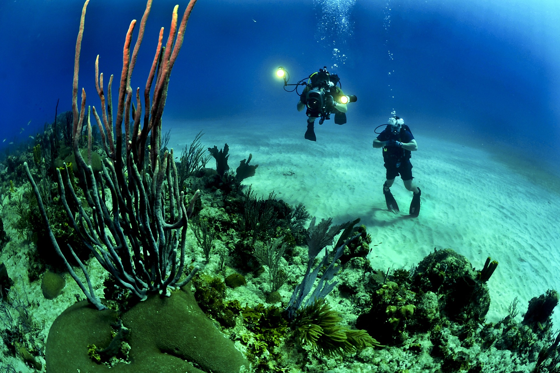 Menyusuri Surga Bawah Laut Di Pulau Sulawesi Superlive