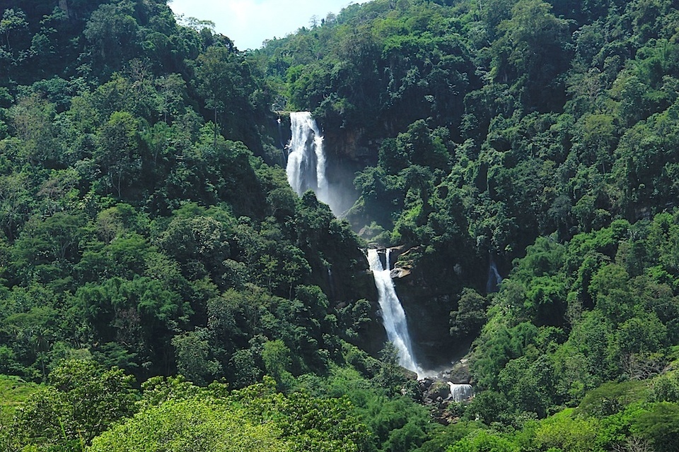 Wisata NTT 4 Fakta Menarik Seputar Keindahan Di Air Terjun Tengku Lese