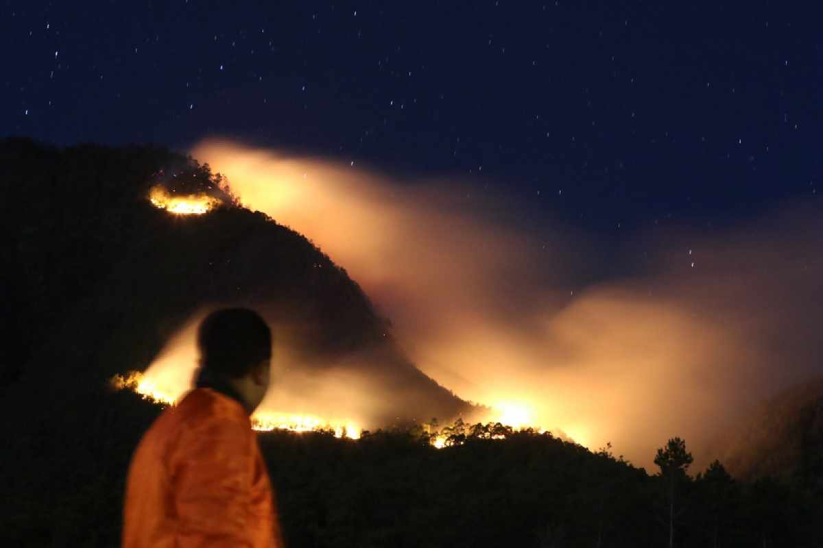 Fakta Yang Perlu Lo Ketahui Seputar Kebakaran Hutan Di Gunung