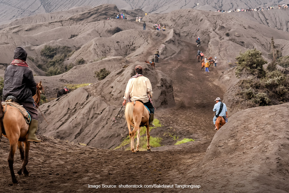 6 Aktivitas Di Gunung Bromo Yang Seru Untuk Dilakukan, Bikin Stres ...