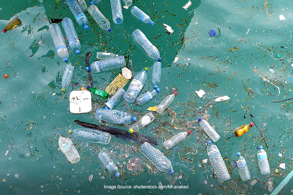 Fakta Great Pacific Garbage Patch, Genangan Sampah Terbesar Di Dunia ...