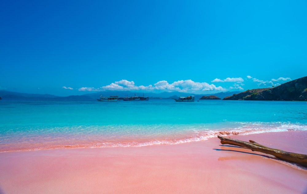 Pink Beach Pulau Komodo, Keindahan Alam yang Memukau | SUPERLIVE