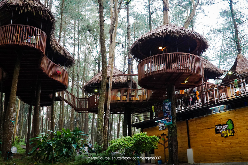 Serunya Outbound dan Camping di Kopeng Treetop Adventure Park SUPERLIVE