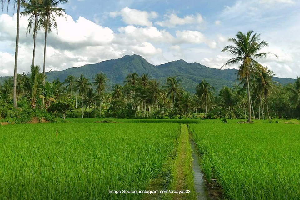 Pesona Alam Gunung Betung di Bandar Lampung SUPERLIVE