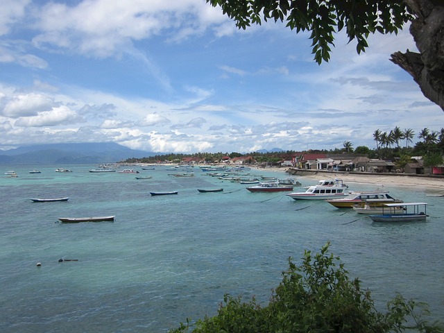 Ilustrasi Lombok. Image: Pixabay