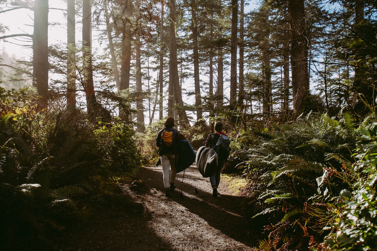 Ilustrasi hiking di musim kemarau. Image: Josh Hild/Pexels