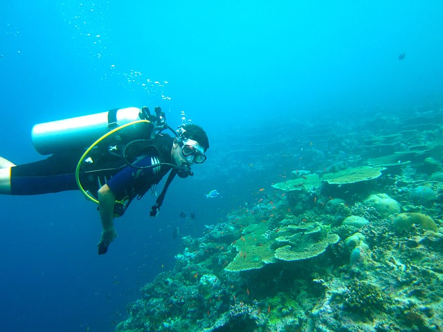 llustrasi diving. Image: Pixabay