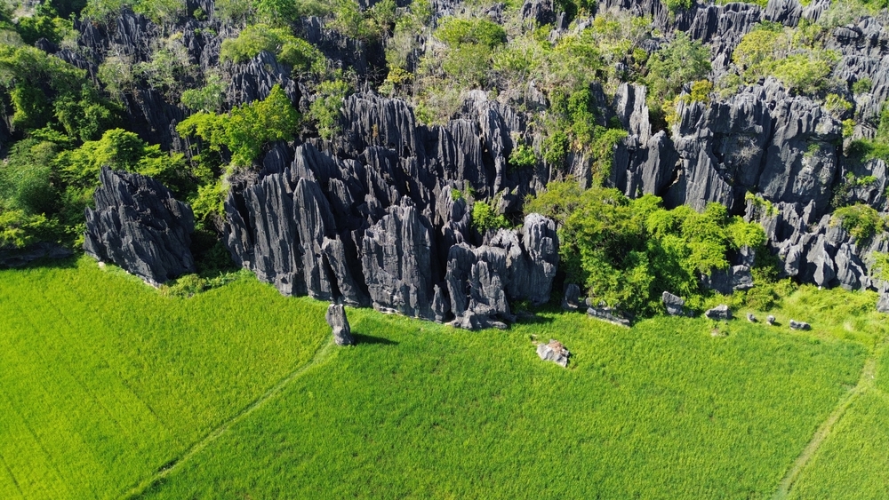 Karst Indonesia