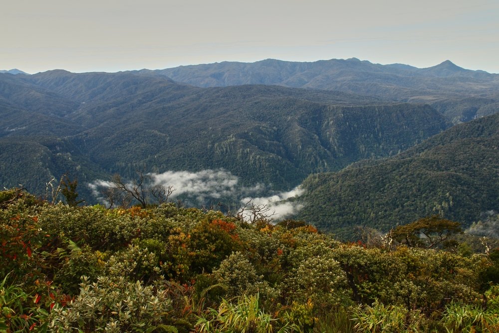 Gunung-gunung yang ada hewan buasnya