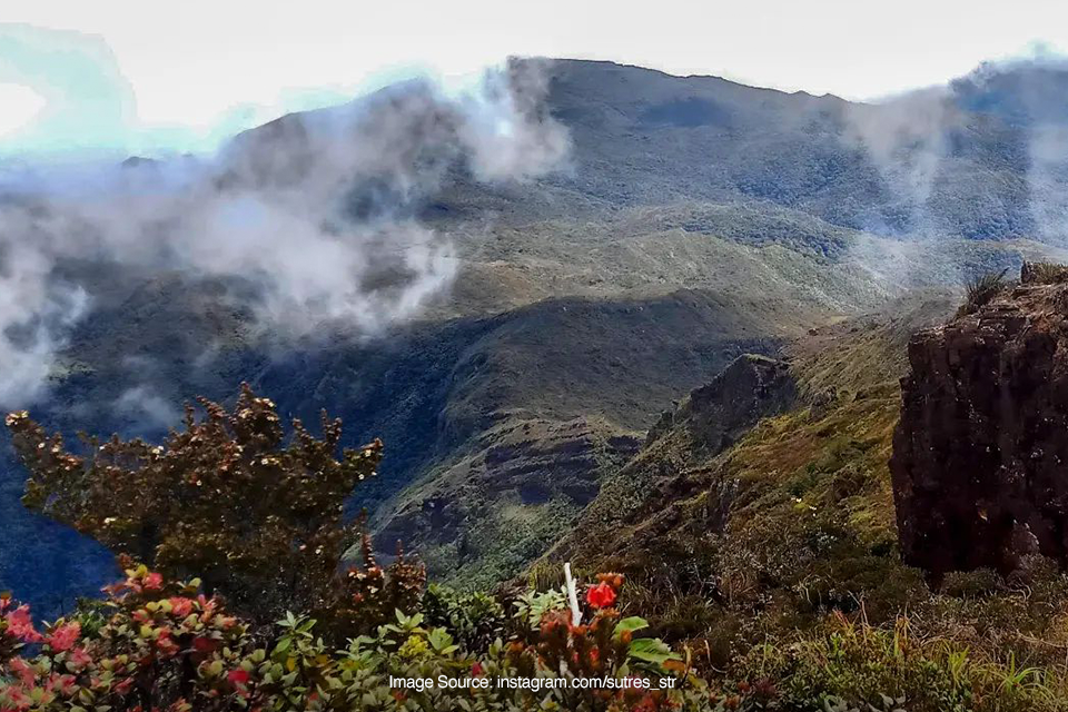 Gunung Leuser