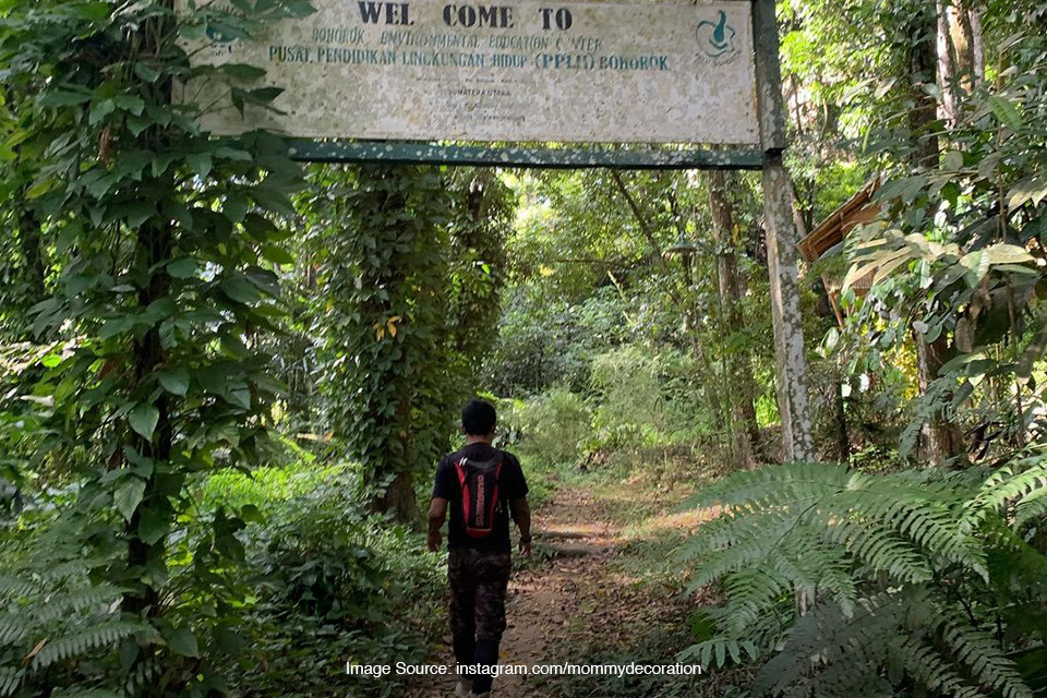 Bukit Lawang Jungle Trekking