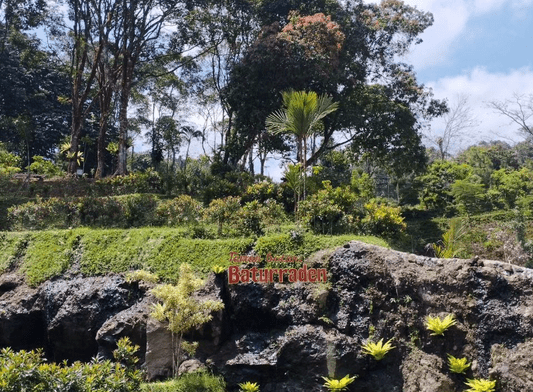 Taman Botani Baturraden. Image: Instagram/@iniaprijuga