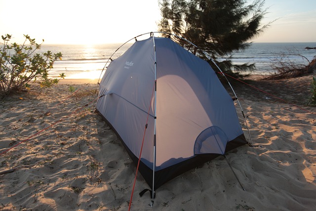 Ilustrasi camping di pantai. Image: Duncan Tran/Pixabay