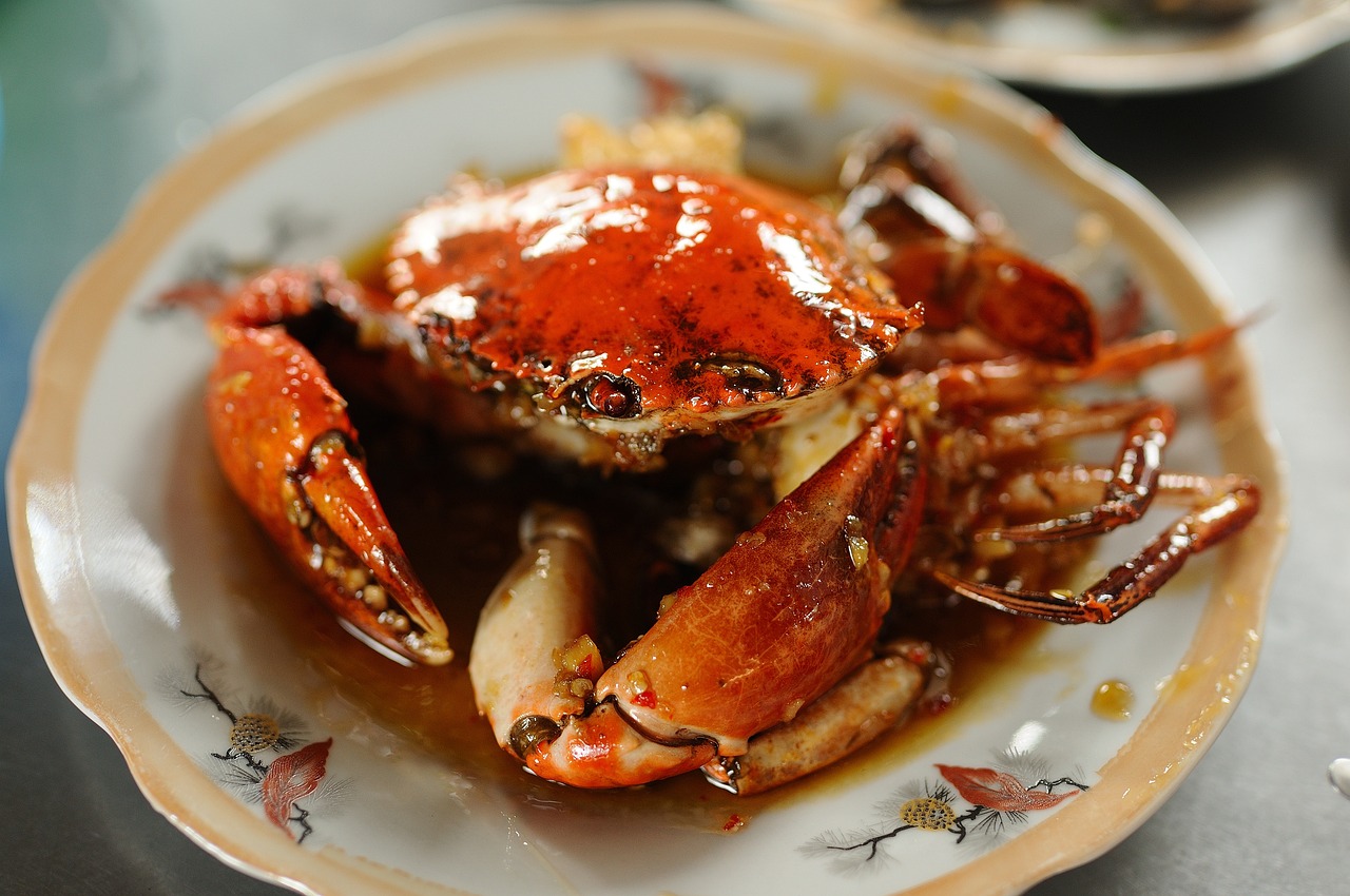 Ilustrasi kepiting soka. Image: Trương Hoàng Huy Ngân﻿/Pixabay