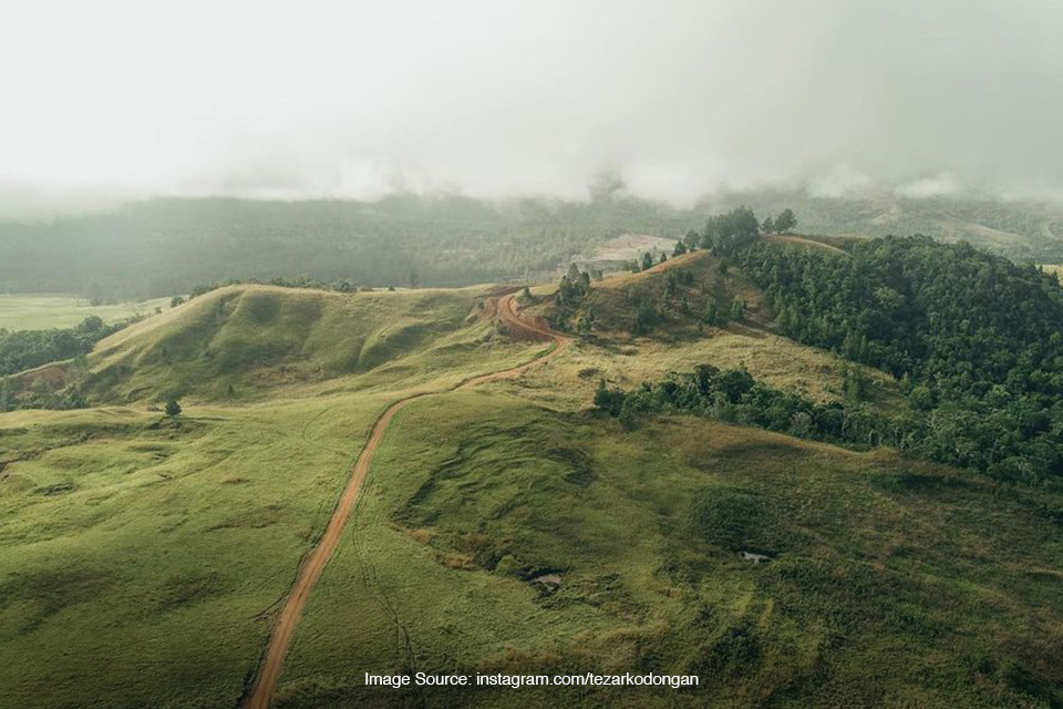 Padang Rumput Napu