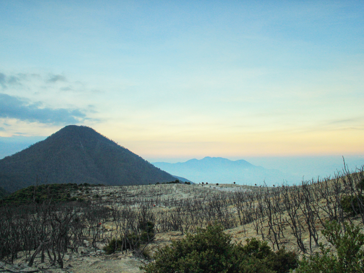 Hutan Mati Papandayan. Image: Indonesia Kaya