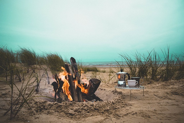 Ilustrasi api unggun di pantai. Image:  StockSnap/Pixabay