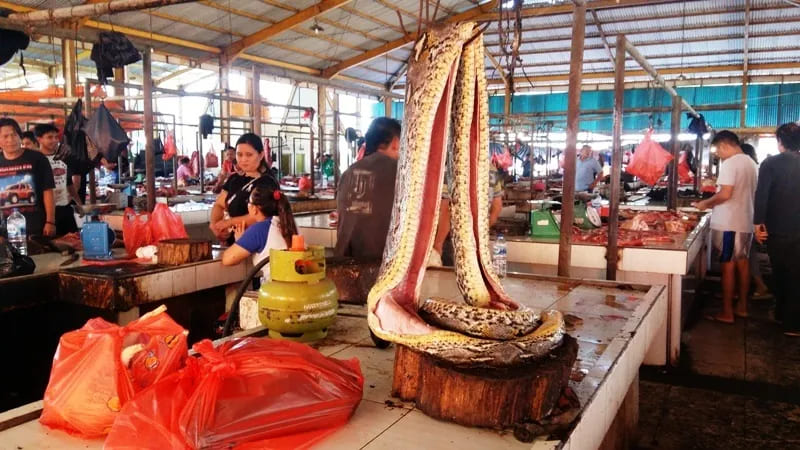 Pasar Beriman Tomohon. Image: tomohon.go.id