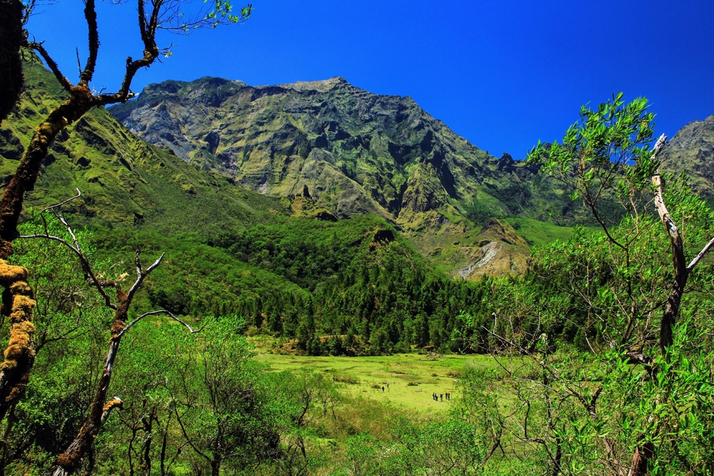 Gunung Termahal Di Indonesia