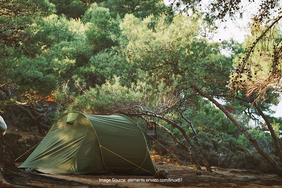 berkemah di tengah hutan