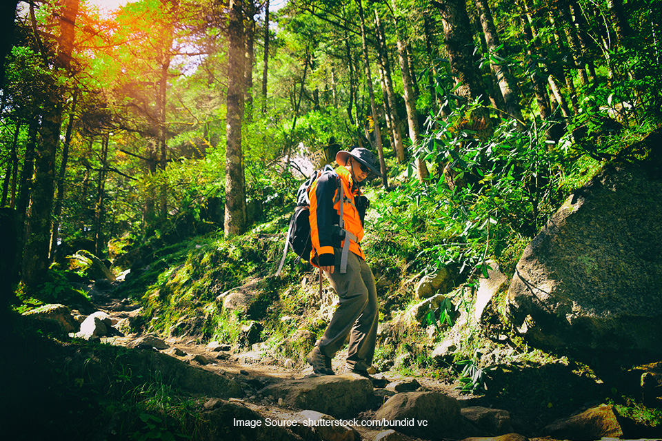 tips berwisata ke taman nasional