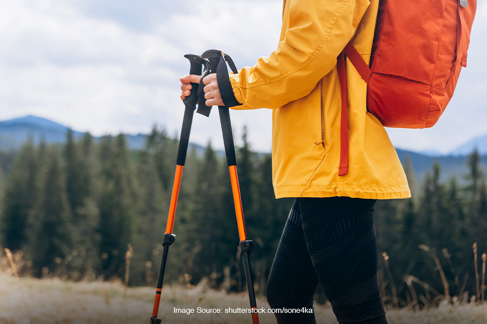 trekking pole