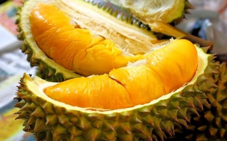 Ilustrasi durian bawor. Image: Dok. Solopos