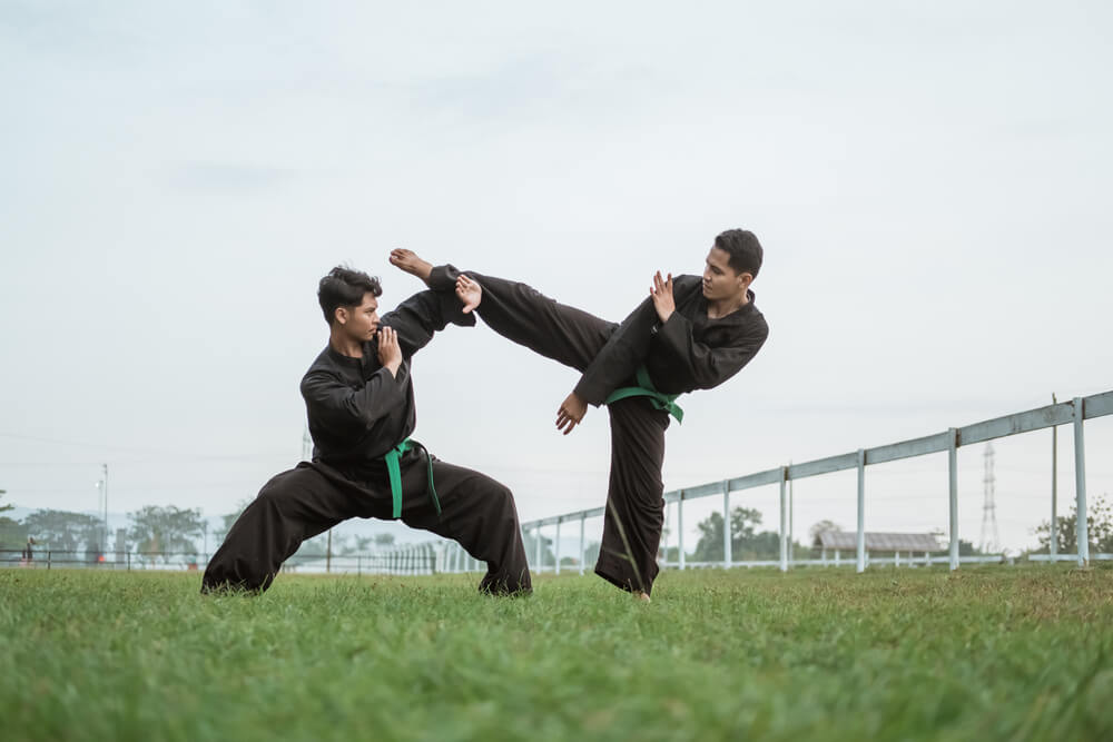 gerakan pencak silat