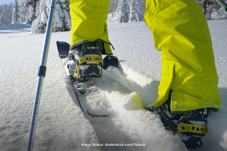 splitboard bindings