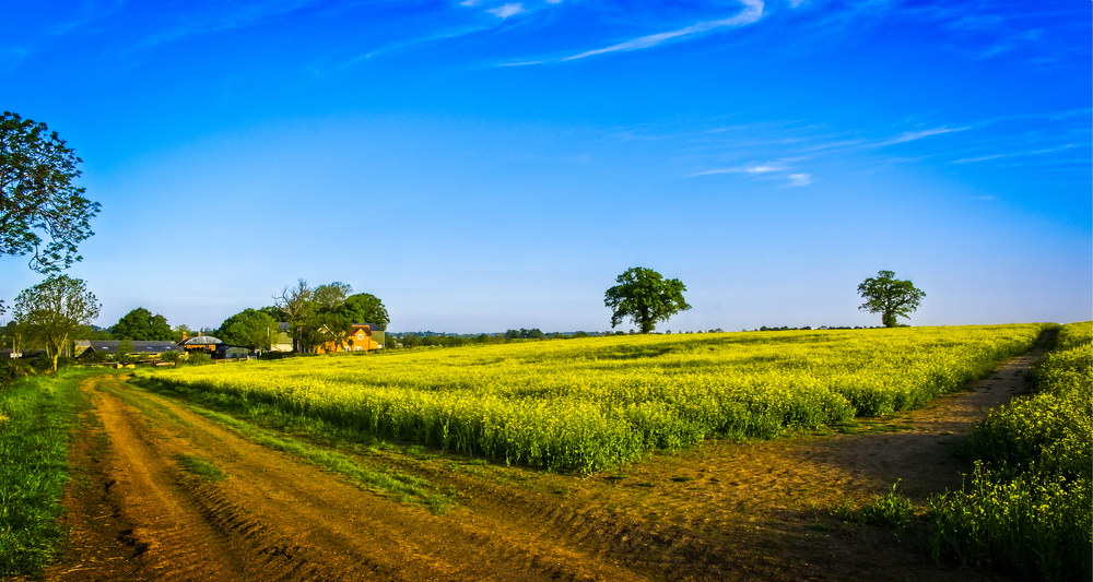 Wisata Kampung Sabin