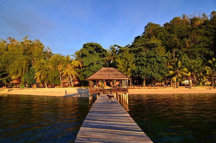 Pulau Kadidiri. Image: Tripadvisor