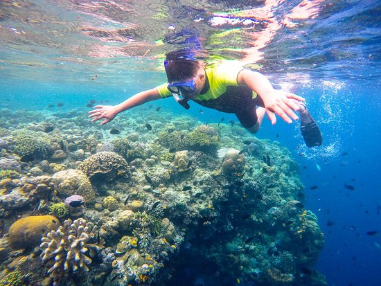 Bunaken. Image: Tripadvisor