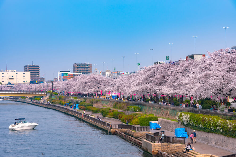 sumida park tokyo