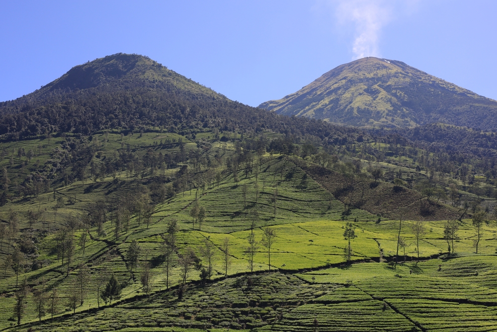Gunung Kembang Wonosobo