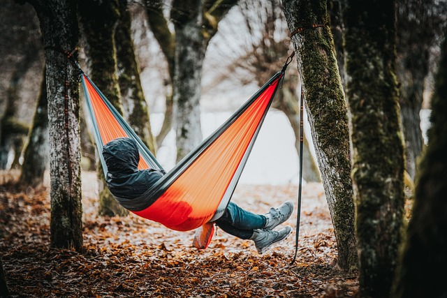 Ilustrasi hammock. Image: Pixabay