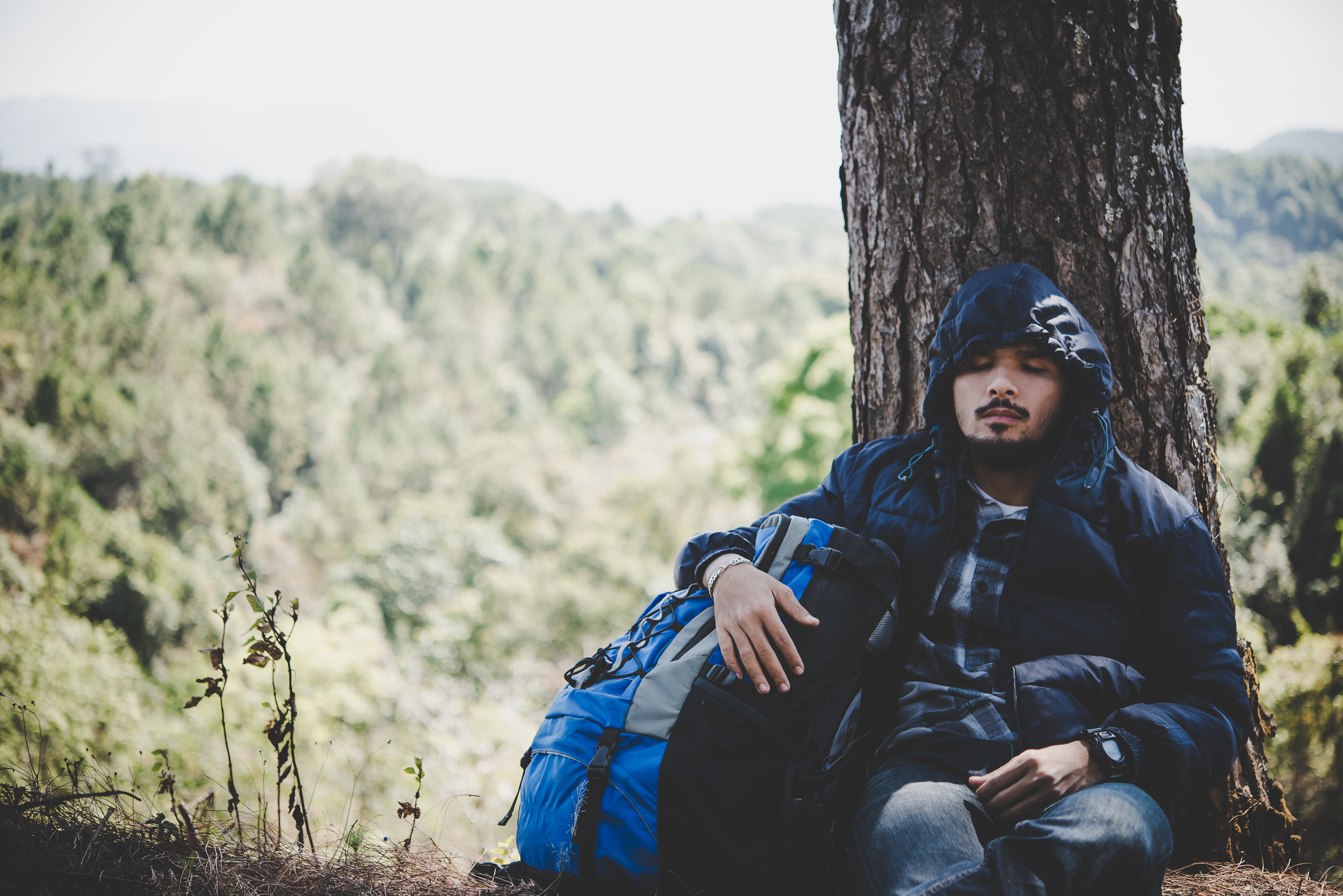 portrait-young-beard-man-sitting-alone-by-tree-with-backpack-looking-away-enjoy-with-nature