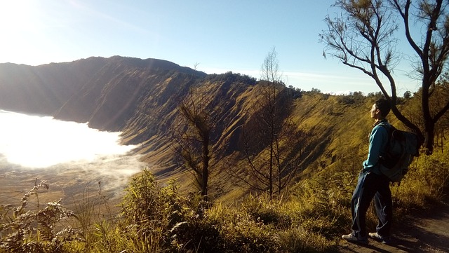 Ilustrasi Gunung Semeru. Image:  Irsyad Haznim/Pixabay