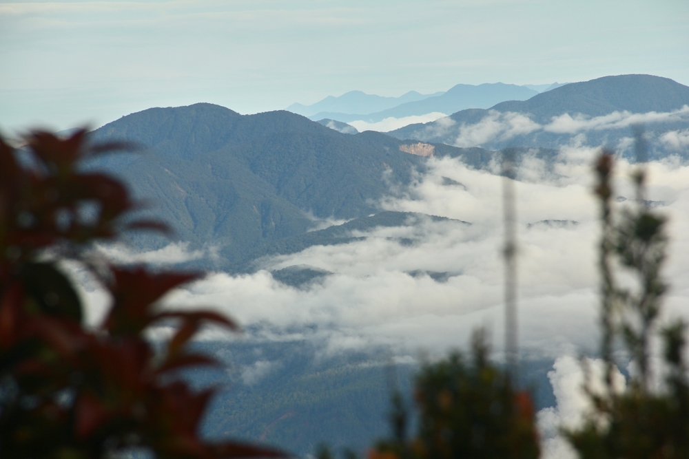 Jalur-jalur pendakian Gunung Leuser