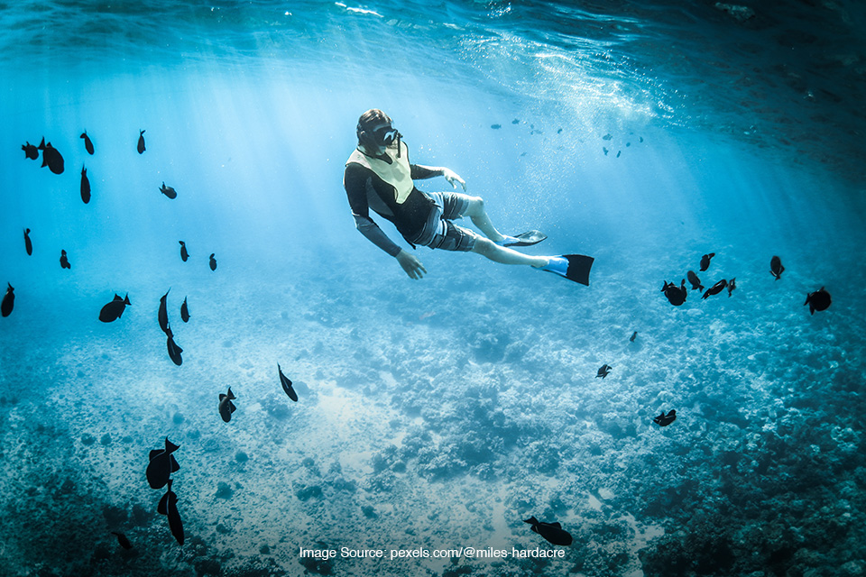 freediving