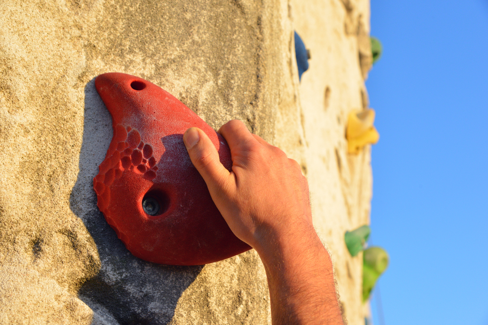 shutterstock_1207236316