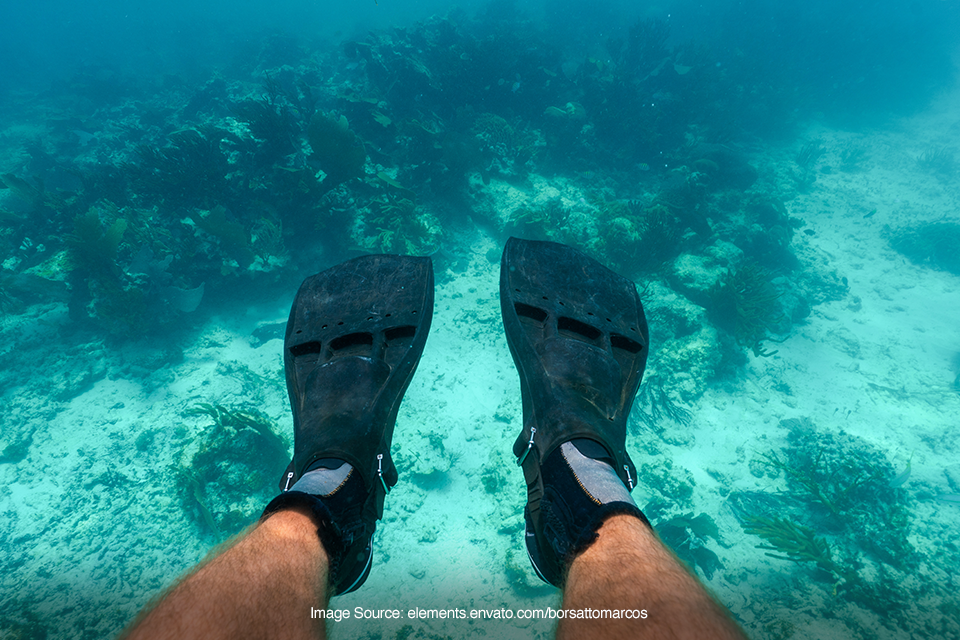 diving fins
