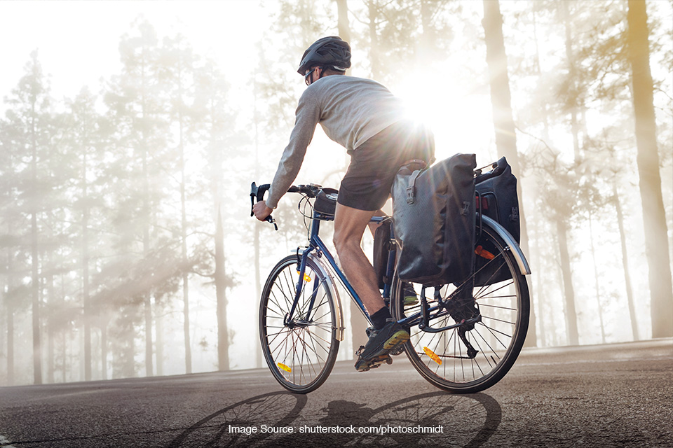 tas pannier