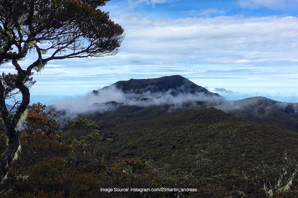 Gunung Leuser