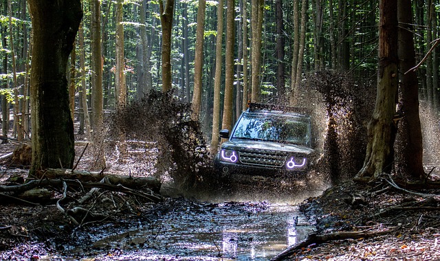 Ilustrasi offroad. Image: Pixabay