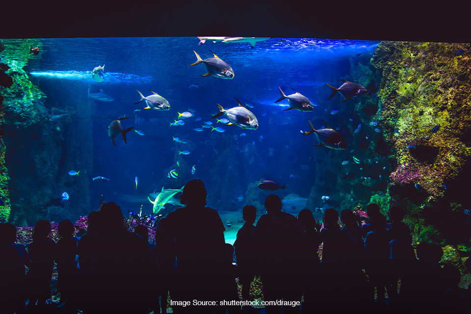 akuarium super megah di Eropa