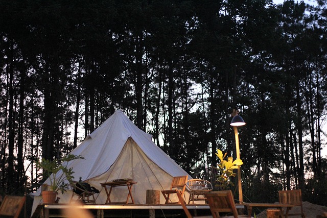 Ilustrasi glamping. Image: Pixabay