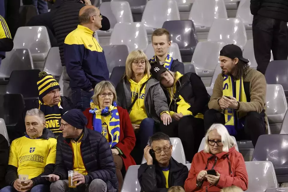 Sweden Fans